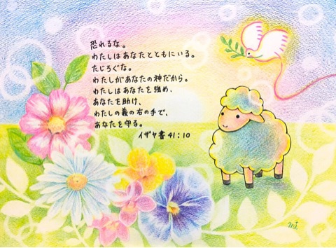 o0480035413975154981