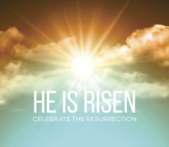 44a184061fd87a0e5a06c54a3b7e2c02